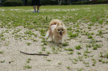 DSC08456.jpg
