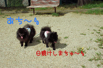 DSC08458.jpg