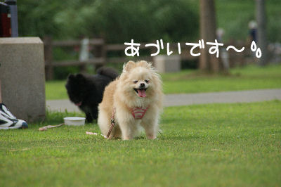 DSC08494.jpg
