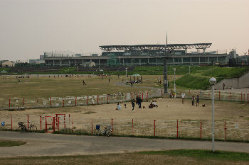 DSC08566.jpg