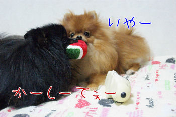 DSC08719.jpg