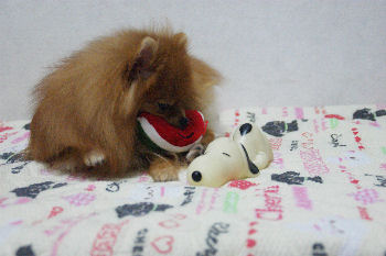 DSC08722.jpg