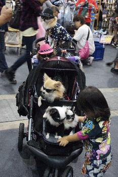 DSC08902.jpg