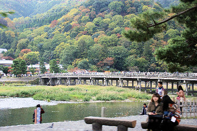 DSC08995.jpg