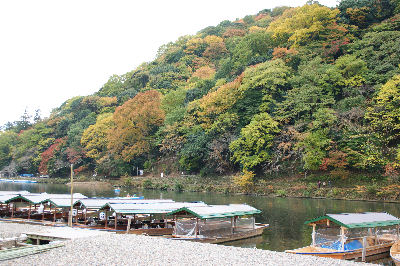 DSC08998.jpg