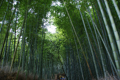 DSC09031.jpg