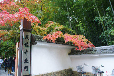 DSC09068.jpg