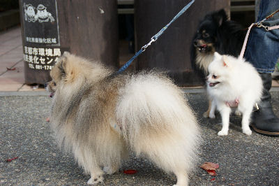 DSC09108.jpg