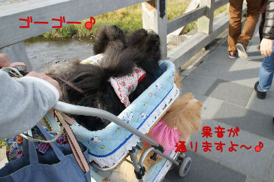 DSC09117.jpg