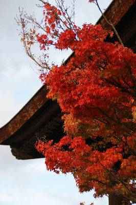 DSC09124.jpg