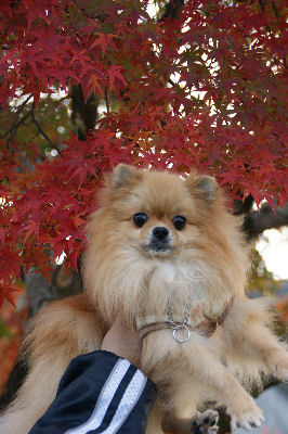 DSC09136.jpg