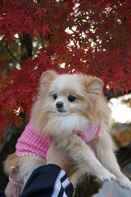 DSC09138.jpg