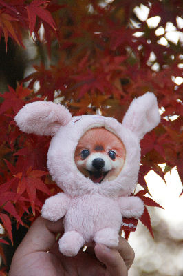 DSC09141.jpg