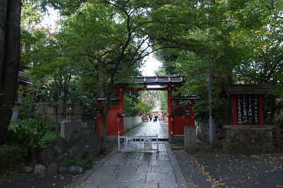DSC09150.jpg