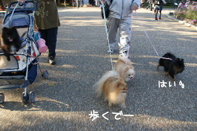 DSC09155.jpg