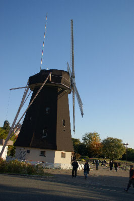 DSC09161.jpg