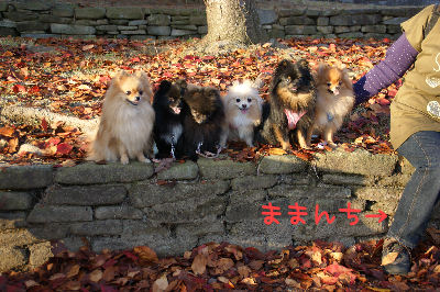 DSC09164.jpg