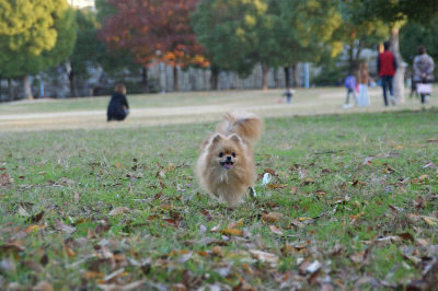 DSC09185.jpg