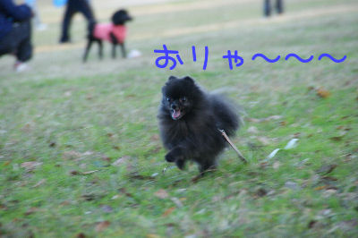 DSC09198.jpg