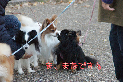 DSC09228.jpg
