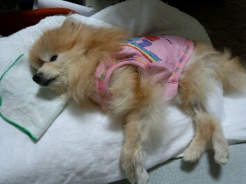 fc2blog_20120515211735f42.jpg