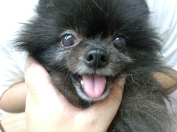 fc2blog_2012082002323438f.jpg