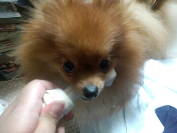 fc2blog_2012091900481271c.jpg