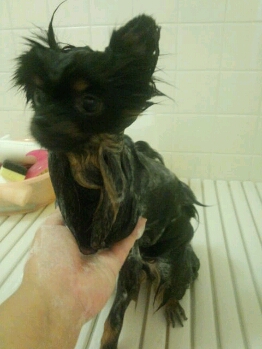 fc2blog_201209190049173db.jpg