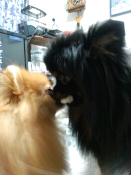fc2blog_20120919005045aaf.jpg