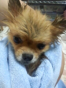 fc2blog_20120919013007f87.jpg