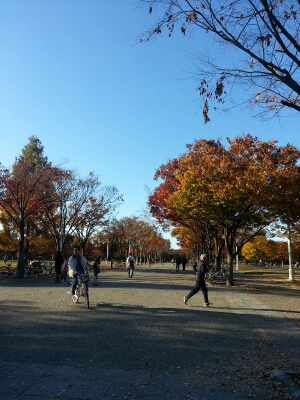 fc2blog_201211261935581c9.jpg
