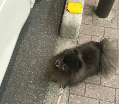 fc2blog_20121127023811148.jpg