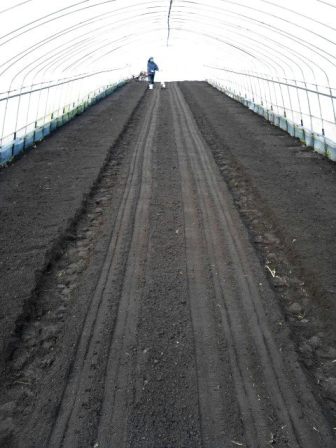 20121114a.jpg
