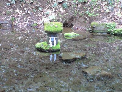 12-5-39_20120528111037.jpg