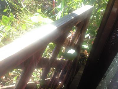 CA396701 (2)