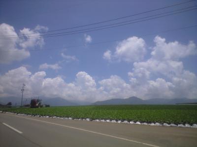 CA396260.jpg