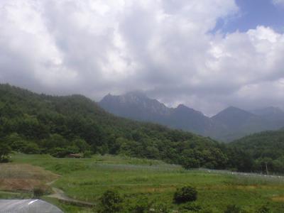 CA396271.jpg