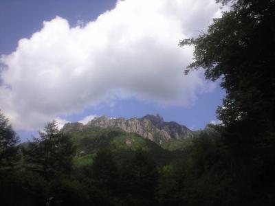 CA396277.jpg