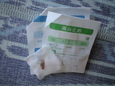 CA396455.jpg