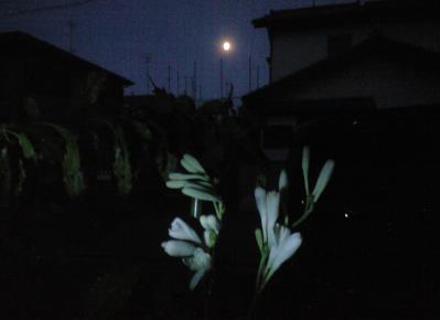 CA396471.jpg