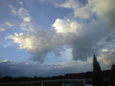 CA396484.jpg