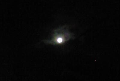 CA396493_20120927221138.jpg
