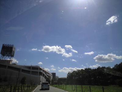 CA396525.jpg