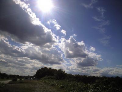CA396535.jpg