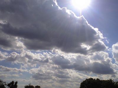 CA396540.jpg