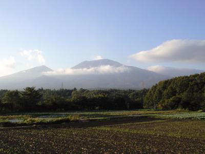 CA396615.jpg