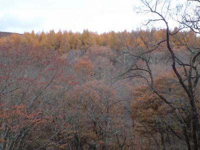 CA396769.jpg