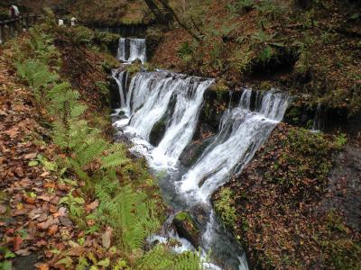 CA396774.jpg