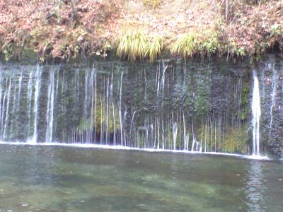 CA396786.jpg