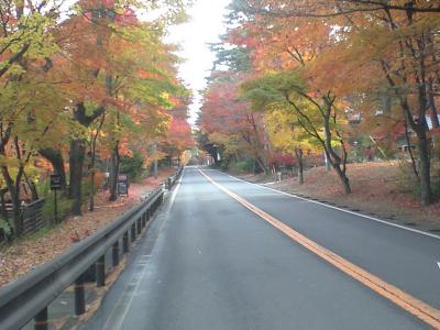 CA396787.jpg